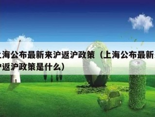 上海公布最新来沪返沪政策（上海公布最新来沪返沪政策是什么）