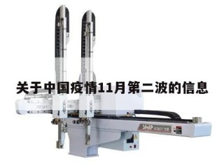 关于中国疫情11月第二波的信息