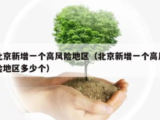 北京新增一个高风险地区（北京新增一个高风险地区多少个）