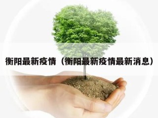 衡阳最新疫情（衡阳最新疫情最新消息）